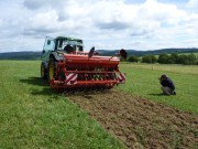 Eggen eines Ansaatstreifens n&ouml;rdlich Winterberg